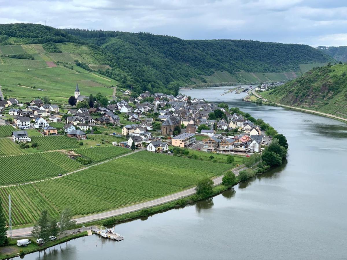 Weingut Im Moselkrampen Leilighet Ellenz-Poltersdorf Eksteriør bilde